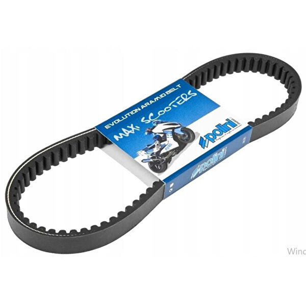 Polini Zincir & Kayışlar