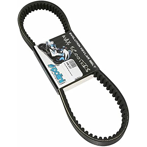 Polini Zincir & Kayışlar