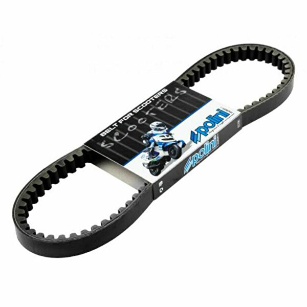 Polini Zincir & Kayışlar