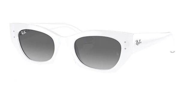 Ray-Ban Kadın Güneş Gözlüğü