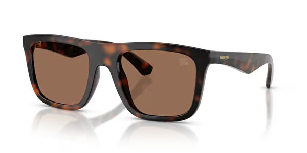 Burberry Erkek Güneş Gözlüğü