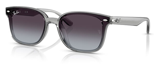 Ray-Ban Unisex Güneş Gözlüğü