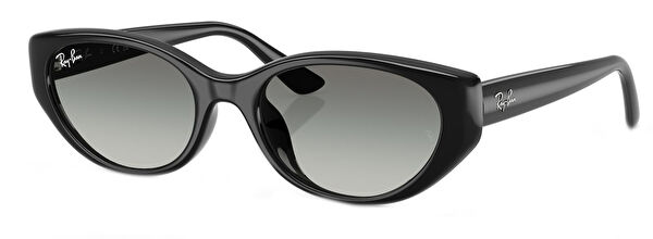 Ray-Ban Unisex Güneş Gözlüğü