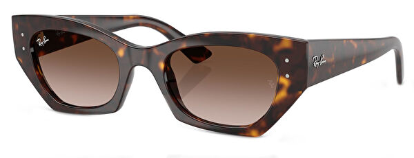 Ray-Ban Unisex Güneş Gözlüğü