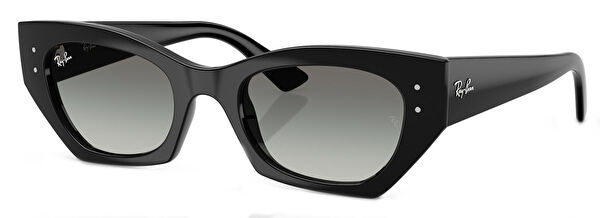 Ray-Ban Unisex Güneş Gözlüğü