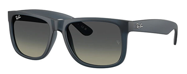 Ray-Ban Erkek Güneş Gözlüğü