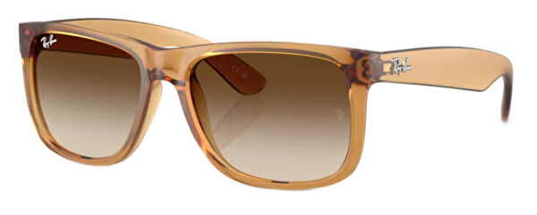 Ray-Ban Erkek Güneş Gözlüğü