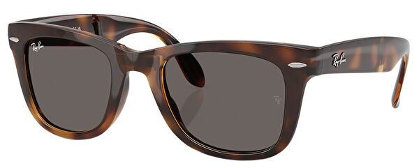 Ray-Ban Erkek Güneş Gözlüğü