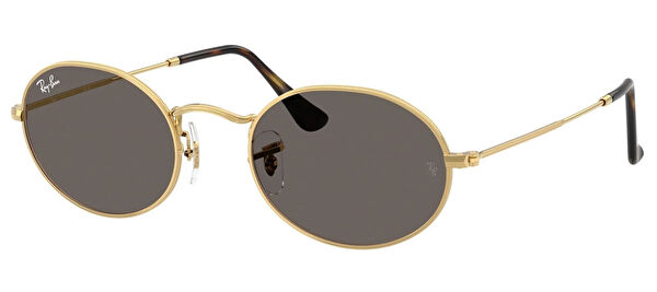 Ray-Ban Unisex Güneş Gözlüğü