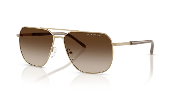 Armani Exchange Erkek Güneş Gözlüğü