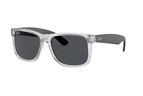 Ray-Ban Unisex Güneş Gözlüğü