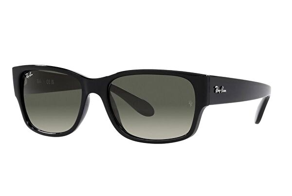 Ray-Ban Unisex Güneş Gözlüğü