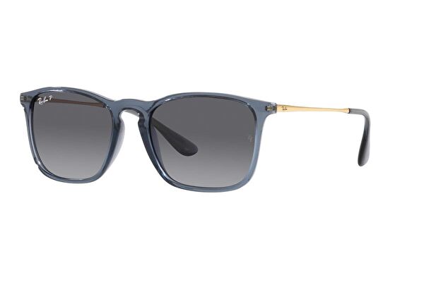 Ray-Ban Unisex Güneş Gözlüğü