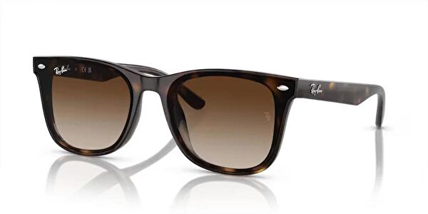 Ray-Ban Unisex Güneş Gözlüğü
