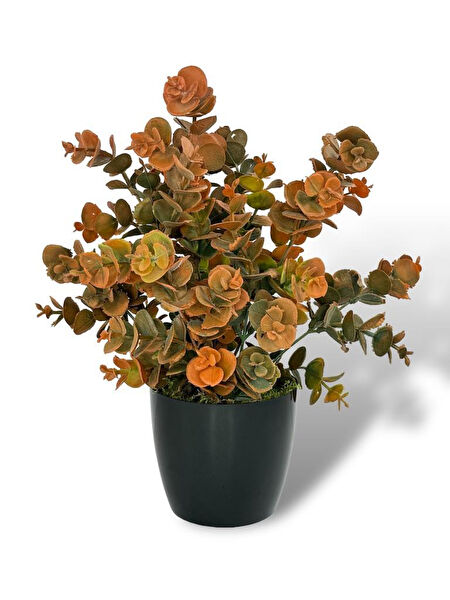 Nettenevime Yapay Çiçek, Meyve