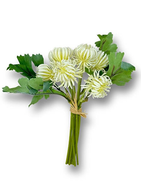 Nettenevime Yapay Çiçek, Meyve