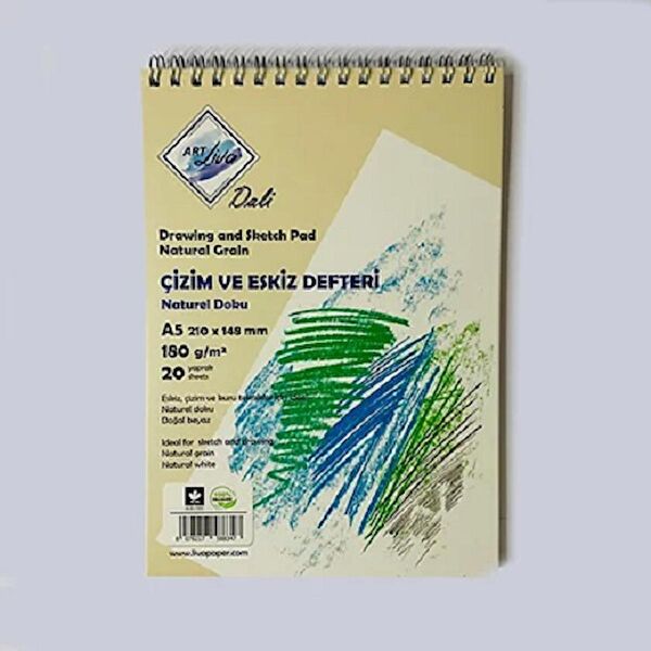 Liva Resim Defteri, Kağıtları