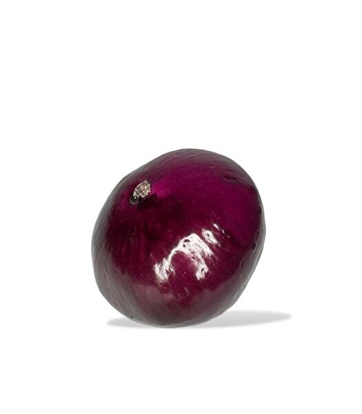 Nettenevime Yapay Çiçek, Meyve