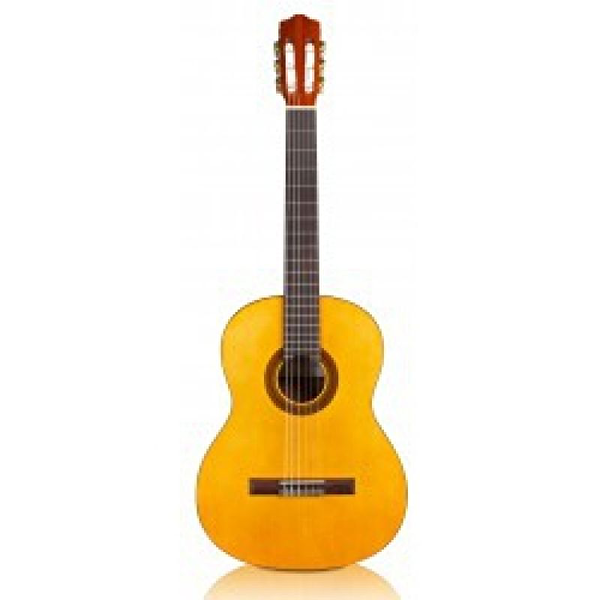 Cordoba Gitar