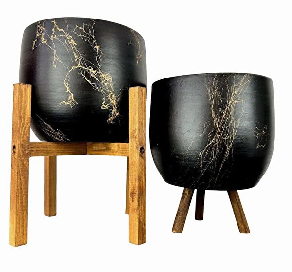 Bitki Tasarımı Vazo, Saksı