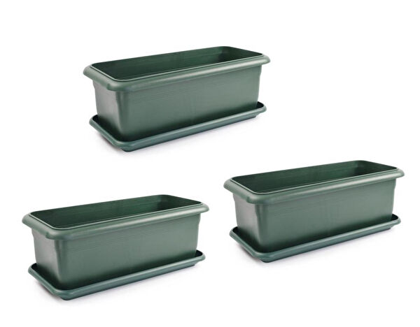 Omnipazar Vazo, Saksı