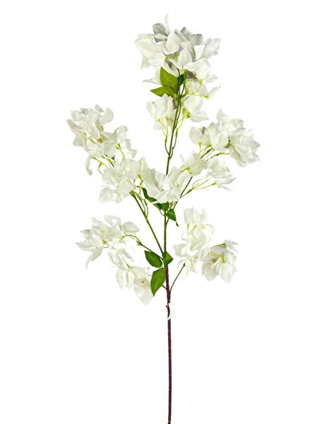 Nettenevime Yapay Çiçek, Meyve