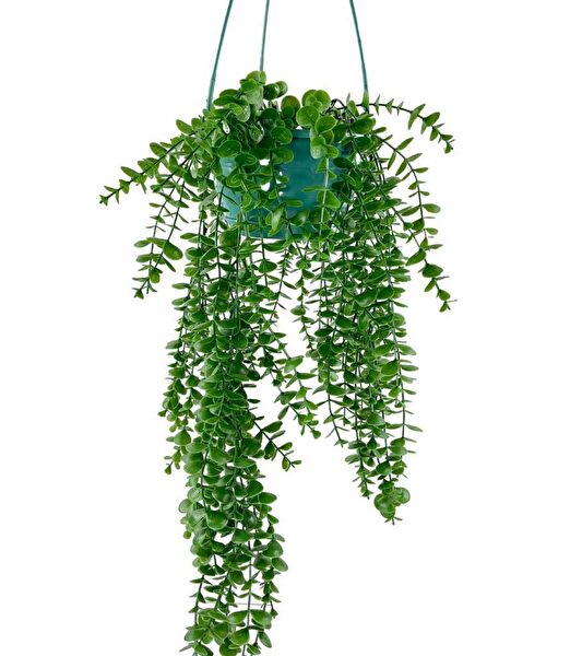 Nettenevime Yapay Çiçek, Meyve