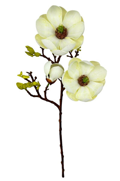 Nettenevime Yapay Çiçek, Meyve