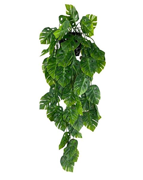 Nettenevime Yapay Çiçek, Meyve