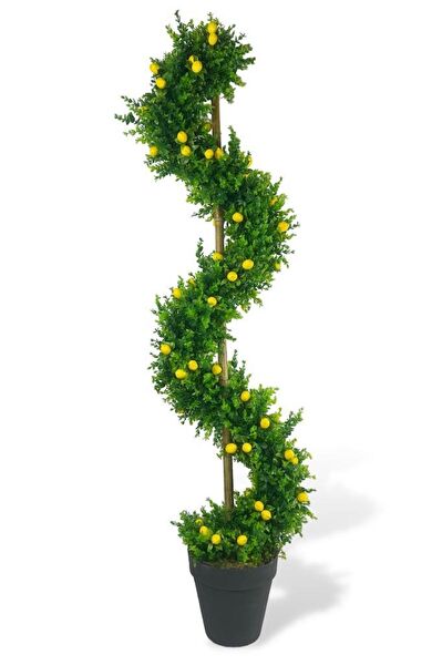 Nettenevime Yapay Çiçek, Meyve