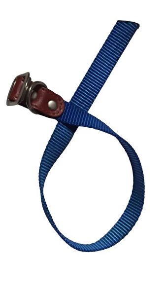 Lovely Köpek Tasmaları