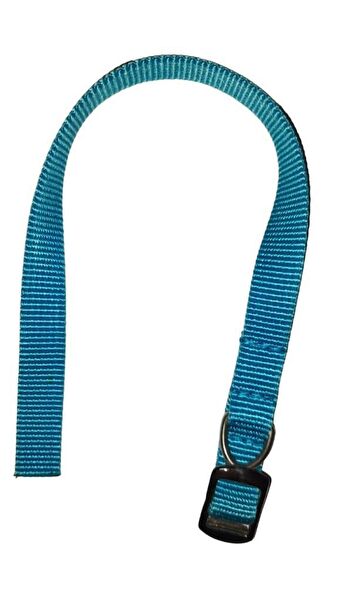 Lovely Köpek Tasmaları