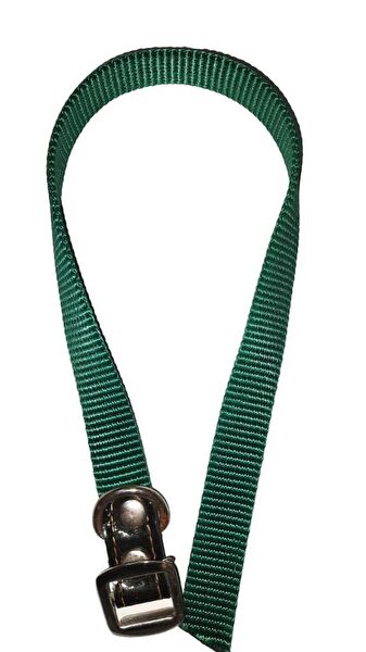 Lovely Köpek Tasmaları