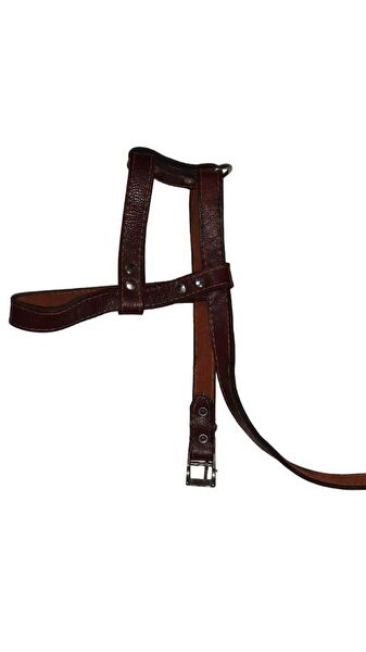 Lovely Köpek Tasmaları