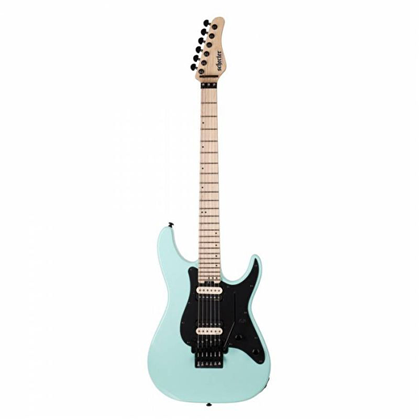 Schecter Gitar