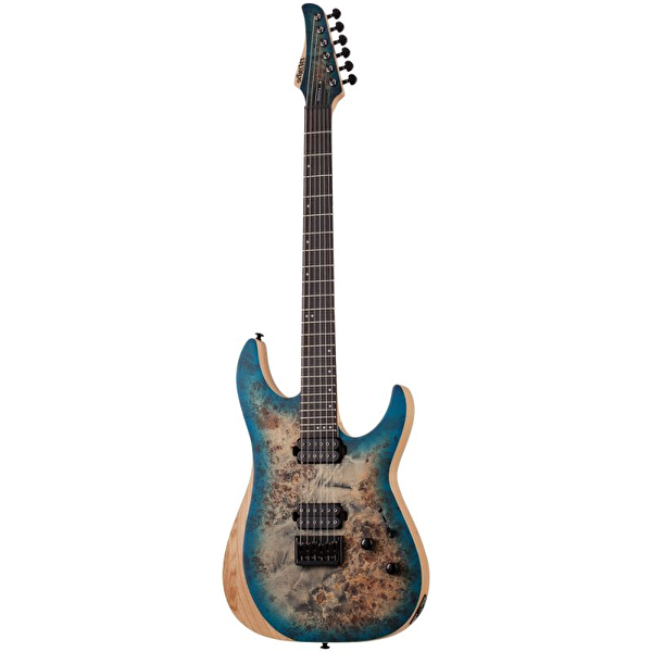 Schecter Gitar