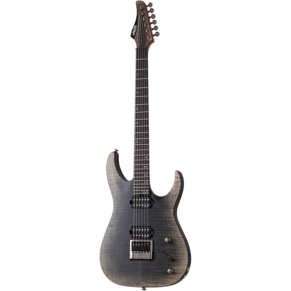 Schecter Gitar