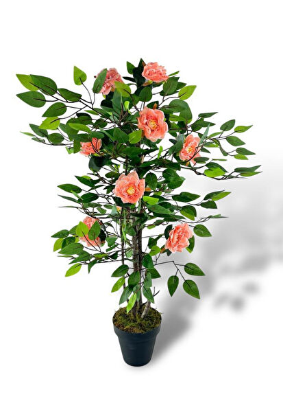 Nettenevime Yapay Çiçek, Meyve