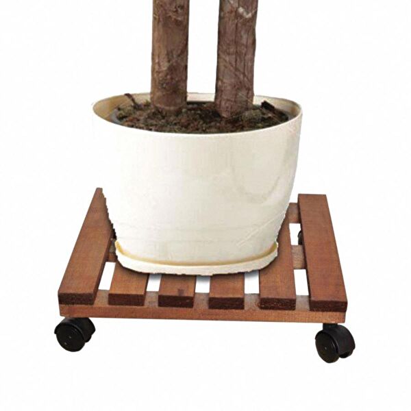 mavi trend Vazo, Saksı