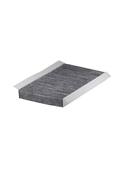 Filtron Polen Filtreleri