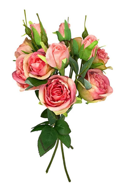 Nettenevime Yapay Çiçek, Meyve