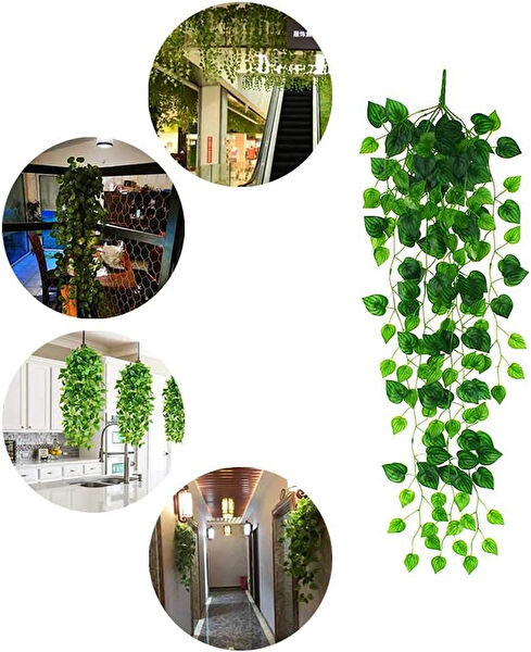 Nettenevime Yapay Çiçek, Meyve