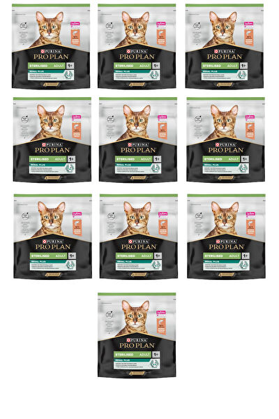 Pro Plan Kedi Maması