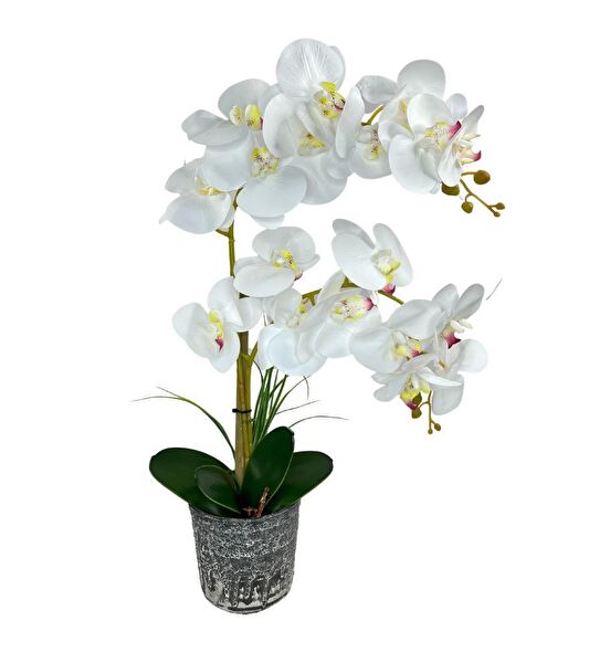 Nettenevime Yapay Çiçek, Meyve