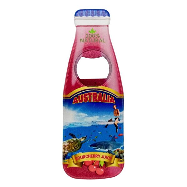 Dünyadan Hediyeler Magnet