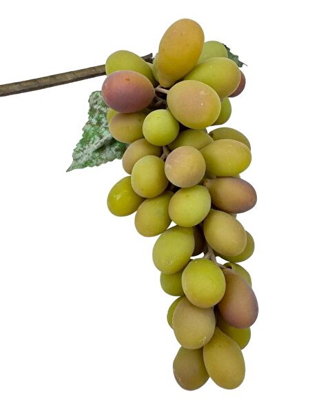 Nettenevime Yapay Çiçek, Meyve