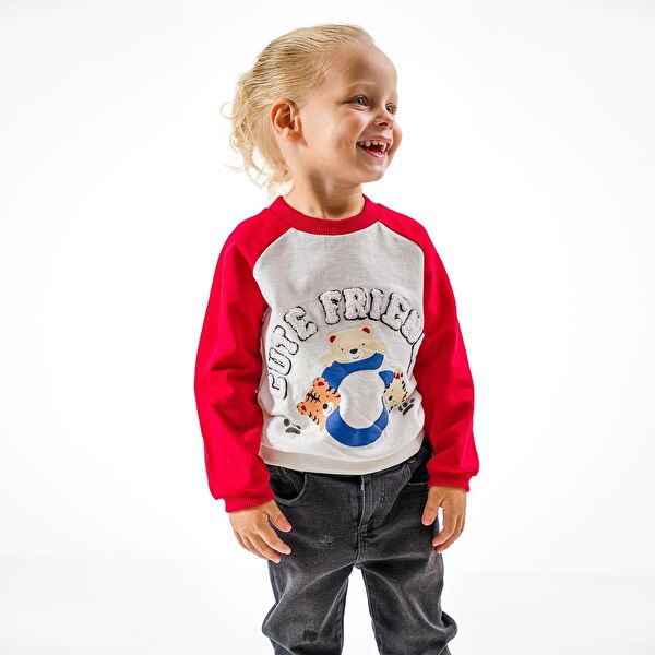 Overdo Erkek Çocuk Sweatshirt