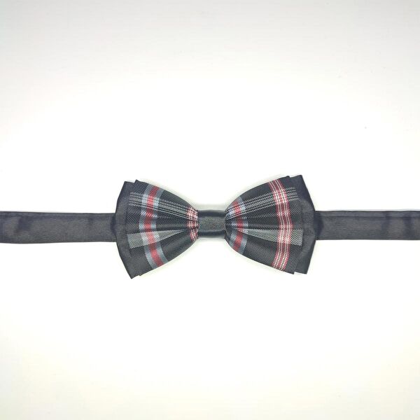 Tedz Collection Kravat, Papyon