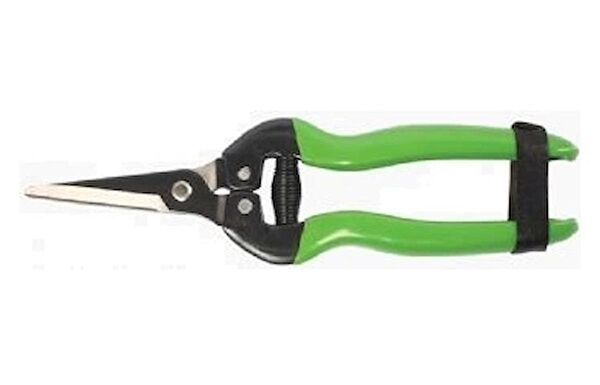 Formosa Budama Makası