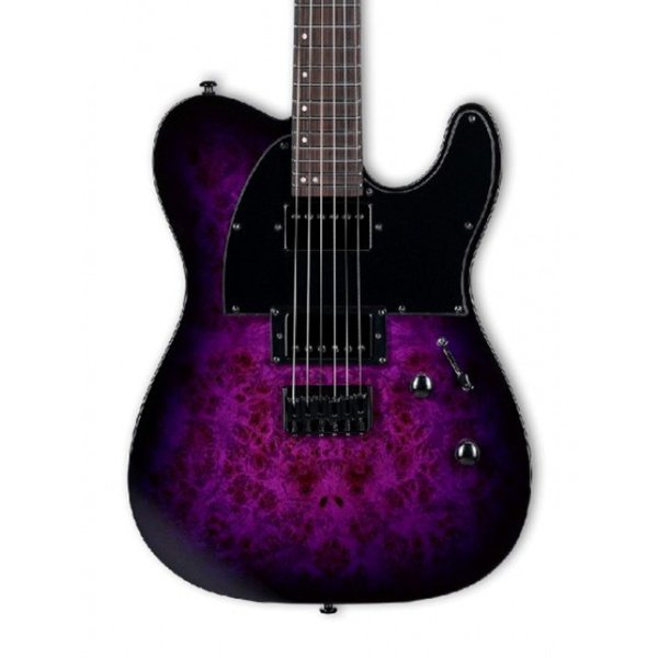 ESP LTD Gitar